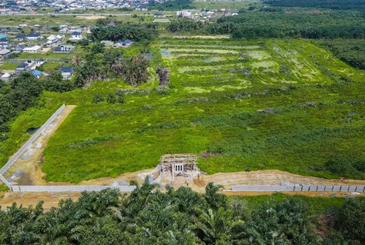 Land For Sale In Eleko Ibeju Lekki Lagos Nigeria