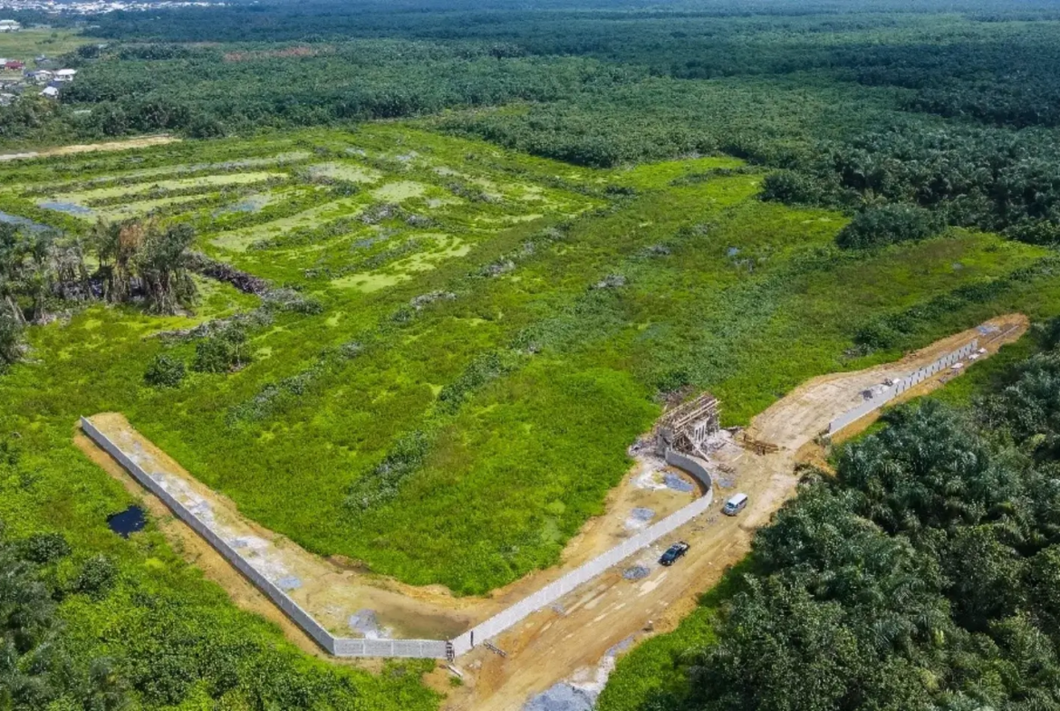 Land For Sale In Eleko Ibeju Lekki Lagos Nigeria
